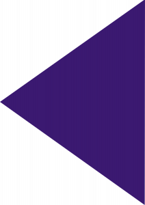 triangel-portrait-left-purple-1500px-212x300